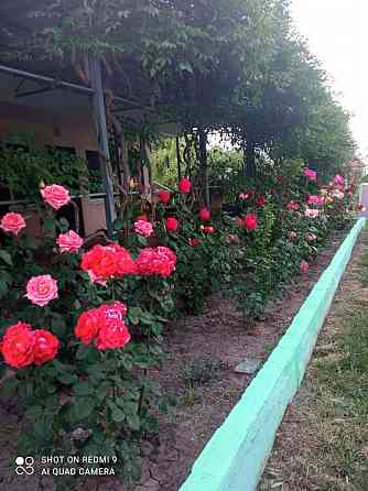 Продажа готового бизнеса, г.Урзуф , Земельный участок 12 соток(приватизированный) На берегу моря (10 Урзуф