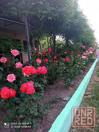 Продажа готового бизнеса, г.Урзуф , Земельный участок 12 соток(приватизированный) На берегу моря (10 Урзуф - изображение 6