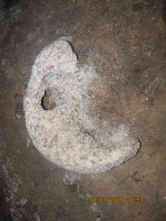 Да лицедей, много Мамов Донецк