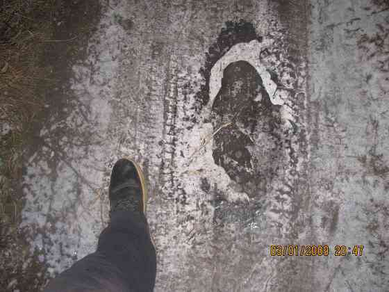 Не входит в мои планы Донецк