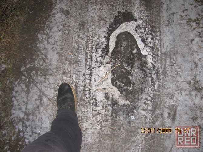 Не входит в мои планы Донецк - изображение 1