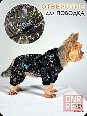 Одежда для собак Донецк - изображение 2