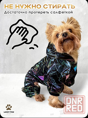 Одежда для собак Донецк - изображение 1