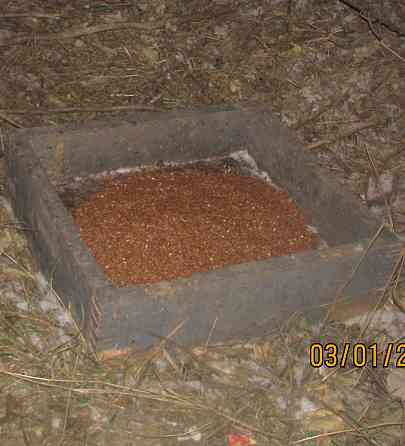 "Хтось" занял порты - дзихад Донецк