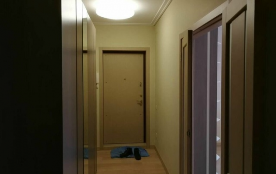 Однокомнатная квартира в Ленинском районе Донецк