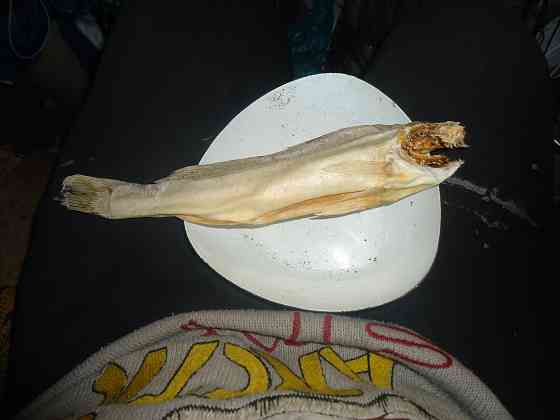 Да шо 'яЗЬ дочка политик Донецк