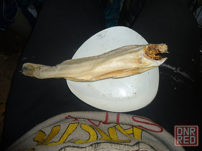 Да шо 'яЗЬ дочка политик Донецк - изображение 1