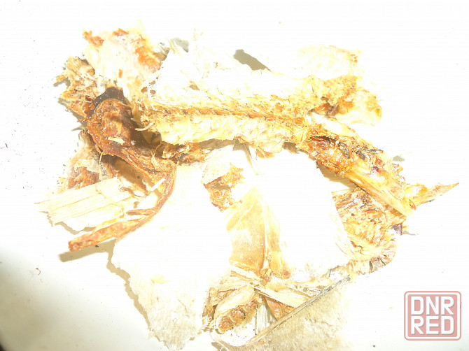 'План перехват' жена стоматоло Донецк - изображение 1