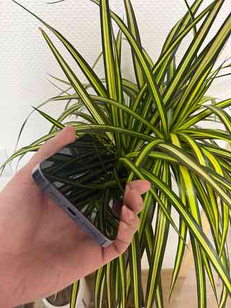 iPhone 14 Pro max Донецк