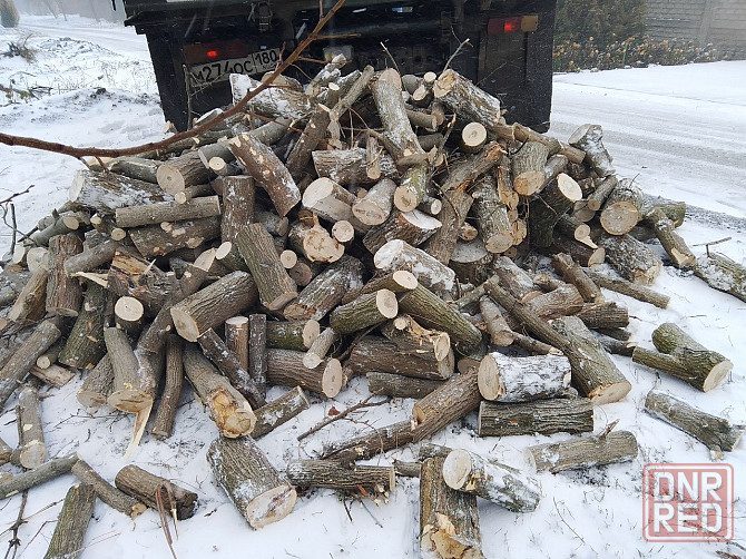 Продам дрова Донецк - изображение 1