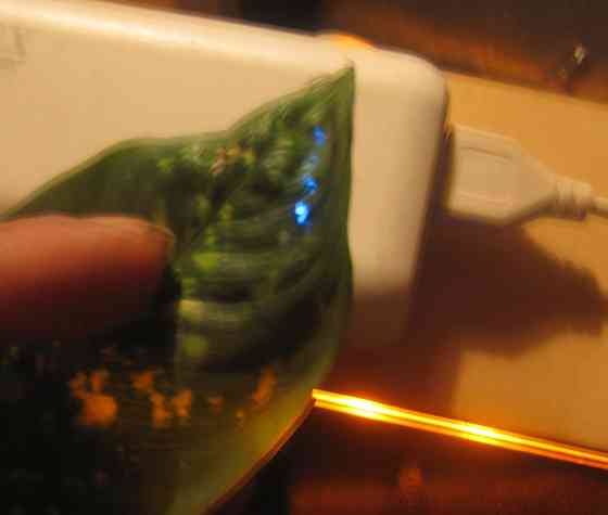 Rogue пишет, а Жена имеется Донецк