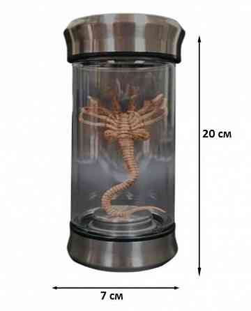 Ночник-светильник Чужой (Alien) Донецк