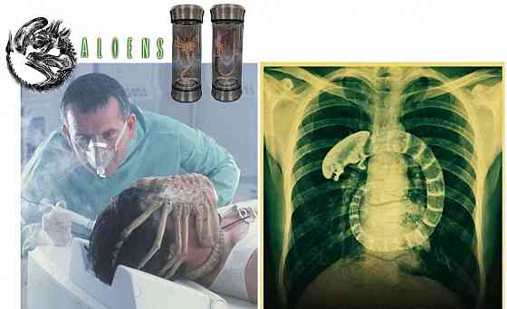 Ночник-светильник Чужой (Alien) Донецк