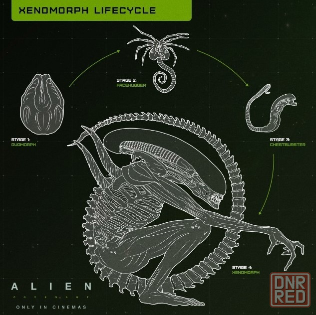 Ночник-светильник Чужой (Alien) Донецк - изображение 8