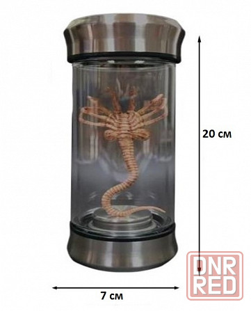 Ночник-светильник Чужой (Alien) Донецк - изображение 5