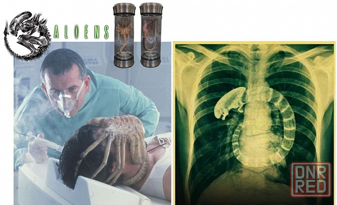 Ночник-светильник Чужой (Alien) Донецк - изображение 6