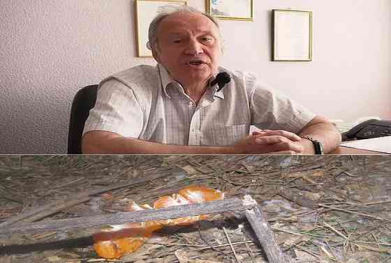 Еслі много Одинкаовіх' конечно Донецк