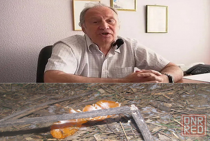 Еслі много Одинкаовіх' конечно Донецк - изображение 1