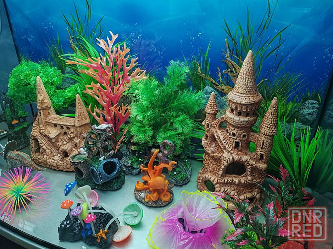 Аквариум 140 л с оборудованием Донецк - изображение 2