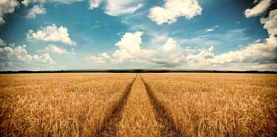 Продаётся земля сельхозназначения 15,9 га Бердянск