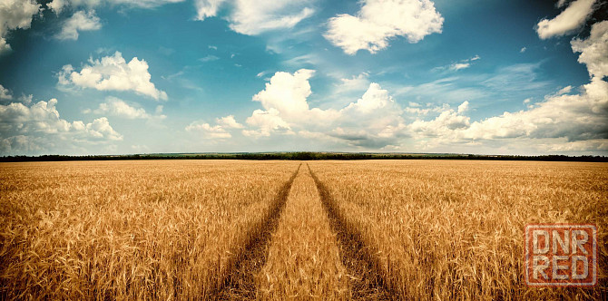 Продаётся земля сельхозназначения 15,9 га Бердянск - изображение 1