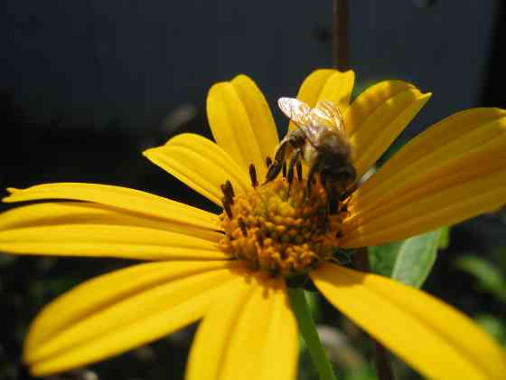 Продам что нибудь Донецк