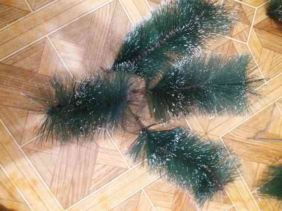 Продам ветки елки сосны для декора Донецк