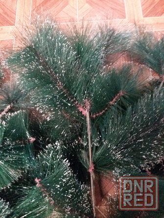 Продам ветки елки сосны для декора Донецк - изображение 1