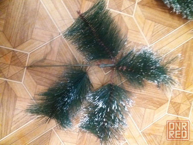 Продам ветки елки сосны для декора Донецк - изображение 5