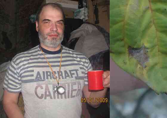 Психолог "Бытовые переделы" Донецк