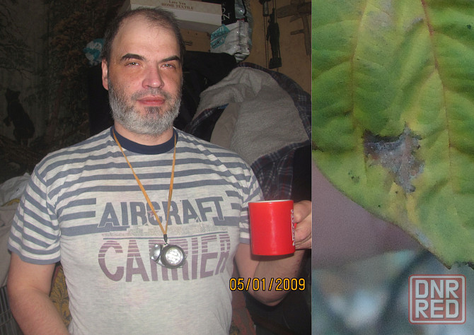 Психолог "Бытовые переделы" Донецк - изображение 1