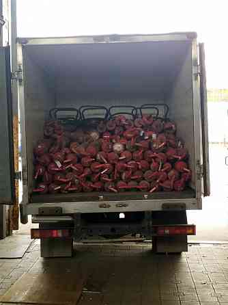 Газель. Грузовые перевозки, доставка по Луганску и Рф. Луганск