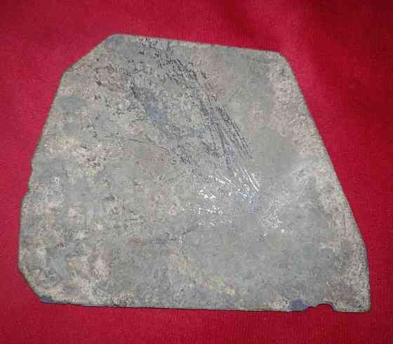 So nasty?! Нельзя кормить =) Донецк