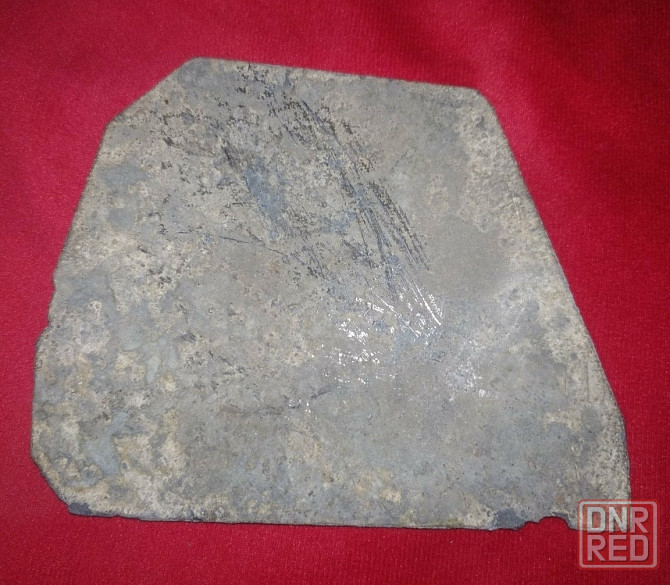 So nasty?! Нельзя кормить =) Донецк - изображение 1