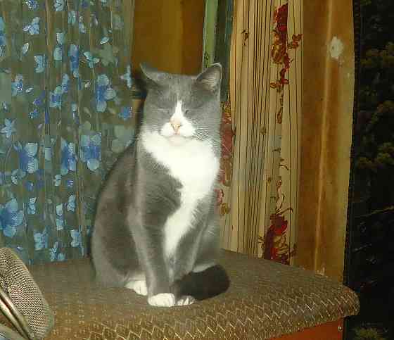 фсего 5 часов, Паслина шашлык Донецк