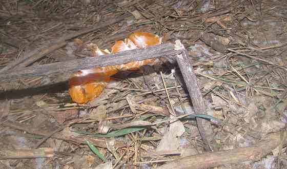 Массаж истощён, а полёт норм. Донецк