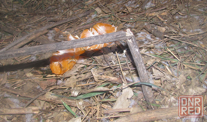 Массаж истощён, а полёт норм. Донецк - изображение 1