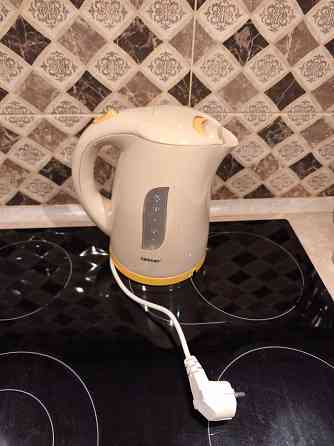 Чайник Zelmer Донецк