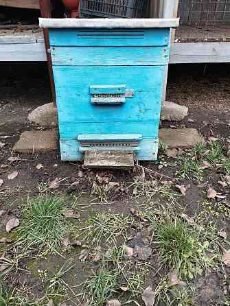 двухкорпусные ульи б\у Донецк