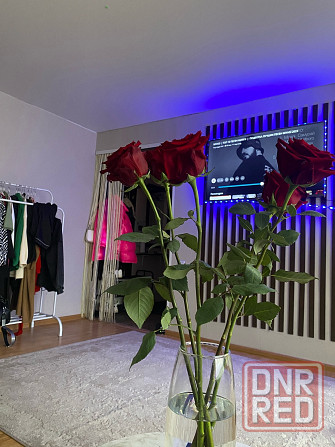 Сдам 1-комнатную квартиру Донецк - изображение 1