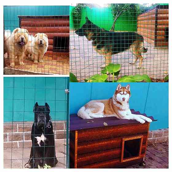 Передержка животных в лучших условиях Донецк