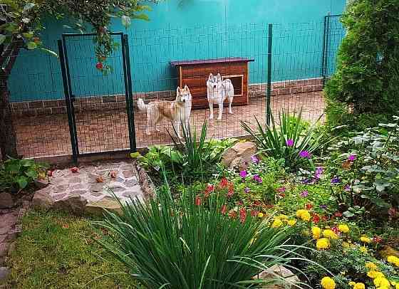 Передержка животных в лучших условиях Донецк