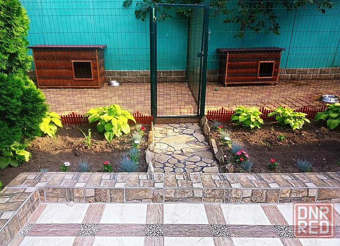 Передержка животных в лучших условиях Донецк - изображение 3