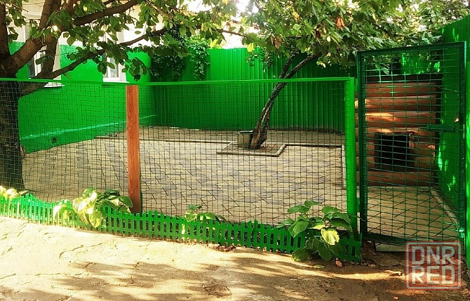 Передержка животных в лучших условиях Донецк - изображение 2