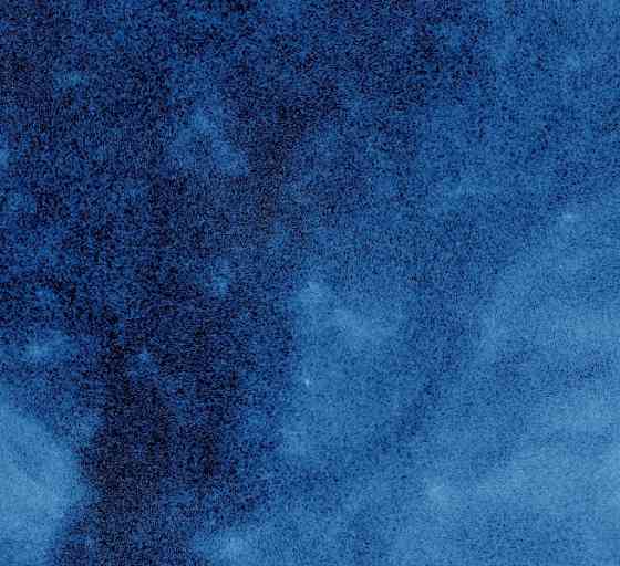 Гпнд прідумал Януковіч 2006 г. Донецк