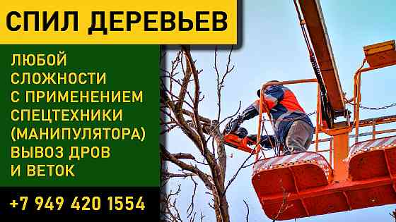 Спил деревьев Донецк