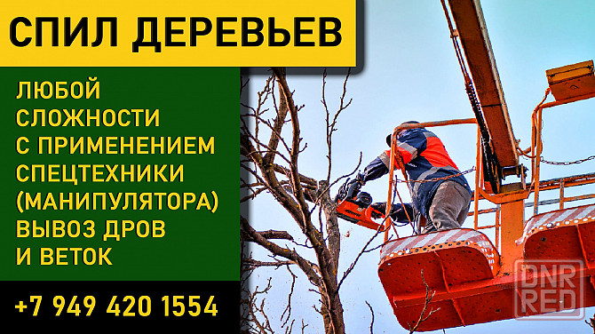 Спил деревьев Донецк - изображение 1