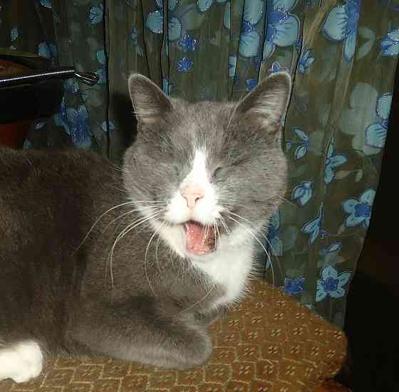 Даже и смешно 'Будто Мачете" Донецк