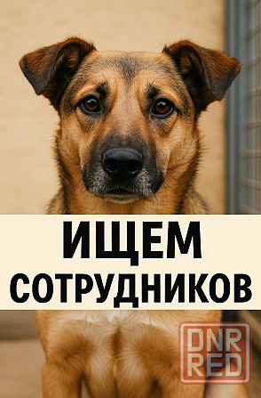 Требуется сотрудник по уходу за животными Донецк - изображение 1