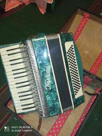 Гармонь Кировский Донецк